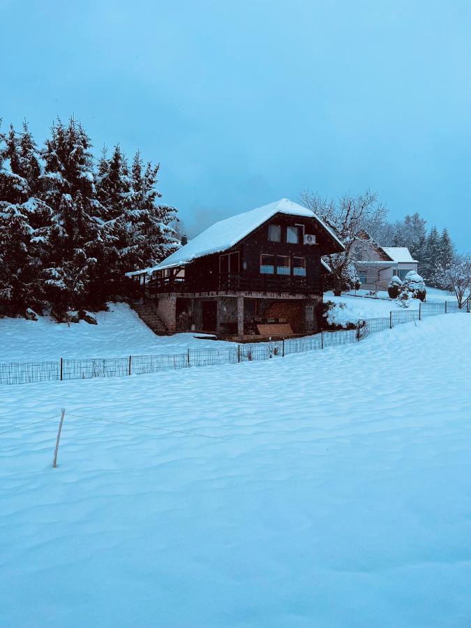 Chalet Pjagodic Cerklje na Gorenjskem Dış mekan fotoğraf